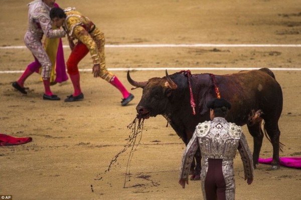 The bulls fight back! Three matadors are gored as ‘World Series’ bull ...